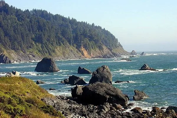 The redwood coast of Northern California